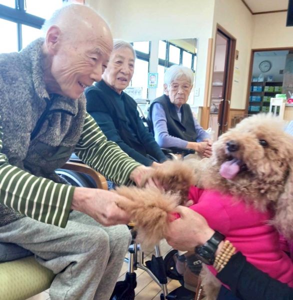 わんちゃんが好きになったみたいです! わんちゃんが好きになったみたいです!