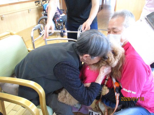 わんちゃんが好きすぎて! わんちゃんが好きすぎて!