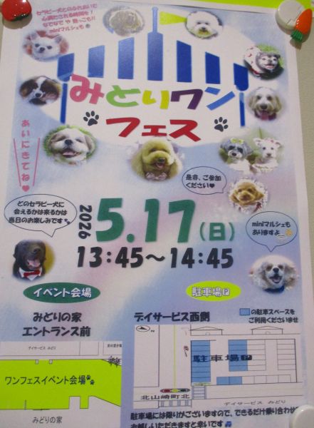 セラピー犬大集合です セラピー犬大集合です